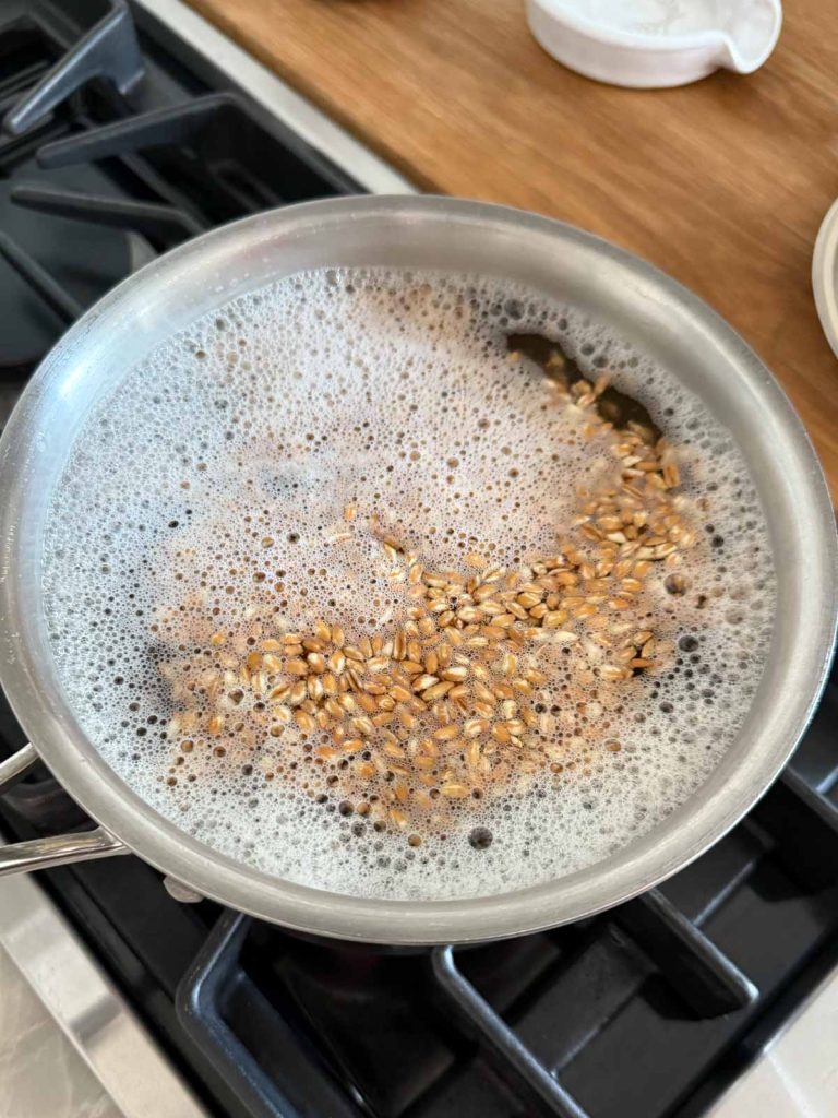 farro cooking in a sauce pan